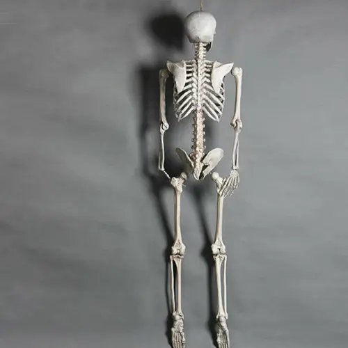 s l960.webp