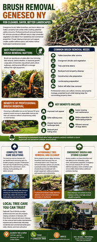Brush Removal Geneseo NY for Cleaner, Safer, Better Landscapes.png