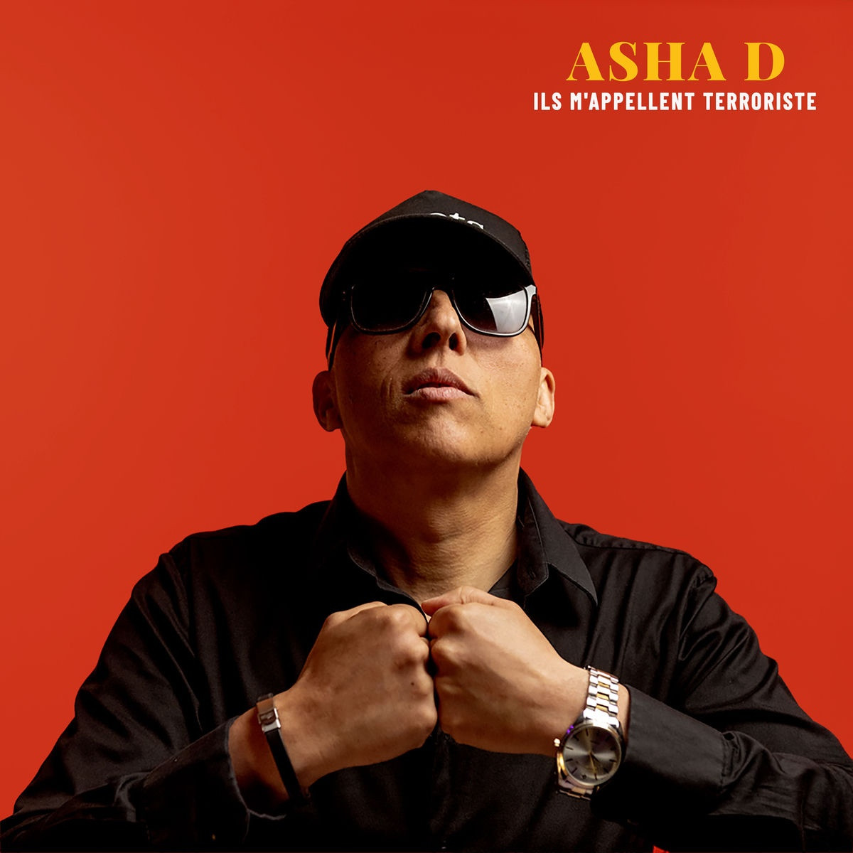 Asha D, Artikal Band - Ils Mappellent Terroriste