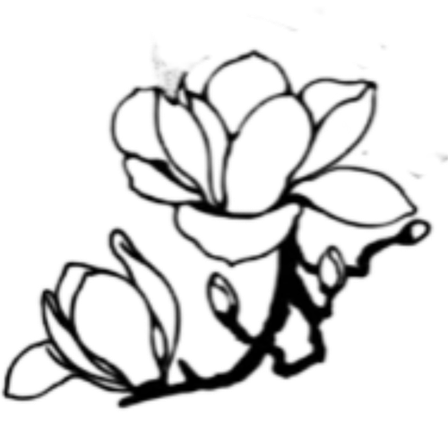retouch 2026081814443395.png