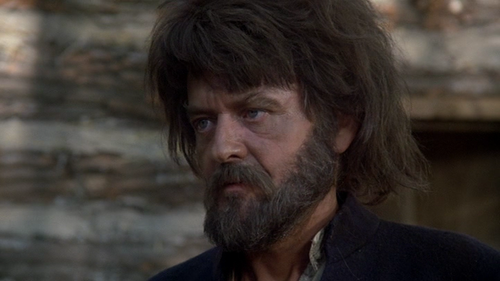 cap The.Awakening.Land.E01.The.Trees.1978.DVDRip.x264 HANDJOB 00 41 27 01.png
