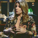 portercanalillofloresCUARTOgif new.gif