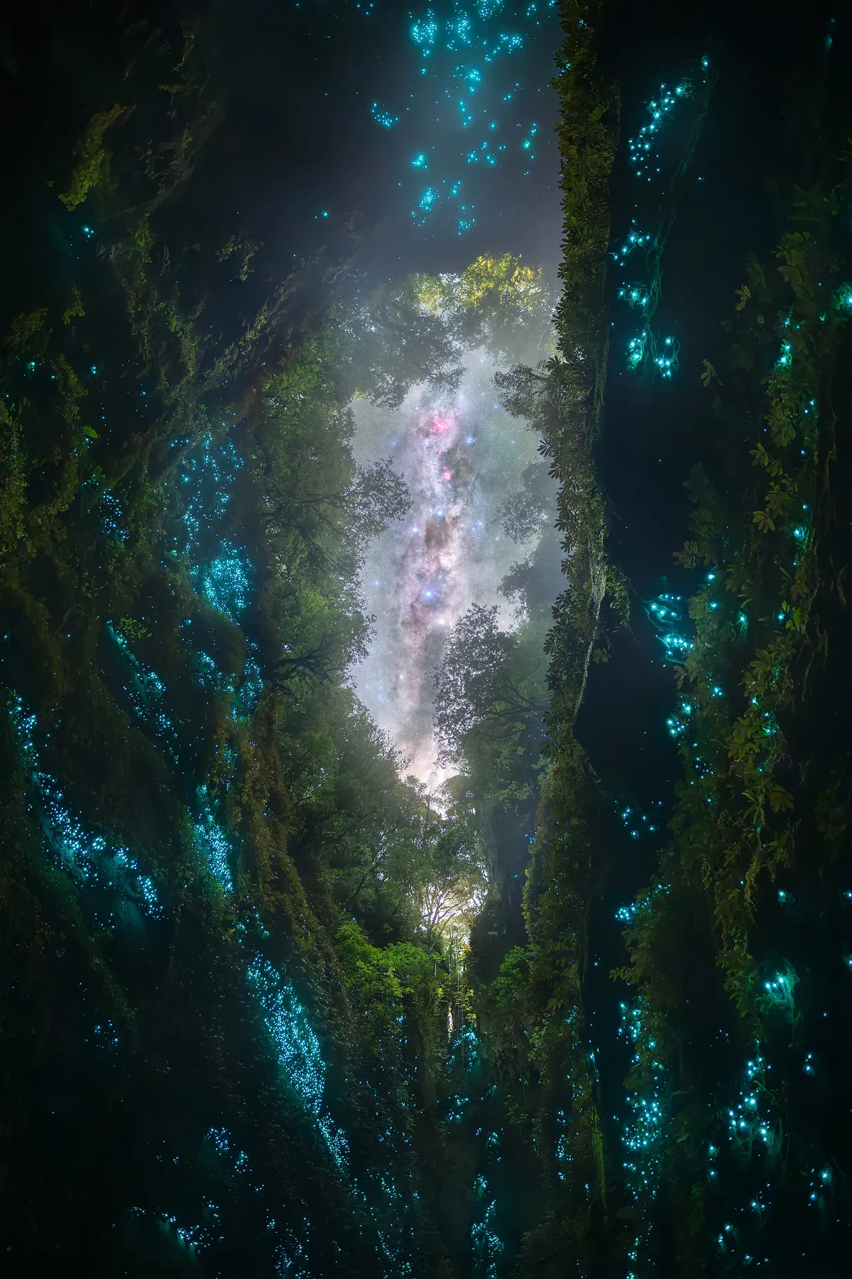 Glow worms illuminate chasm.