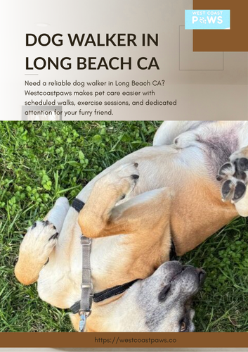Dog Walker in Long Beach CA.png