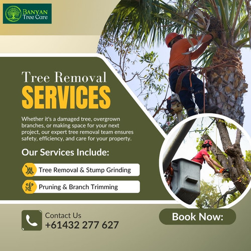 Tree Removal Services | Safe & Professional Tree Care.jpg
