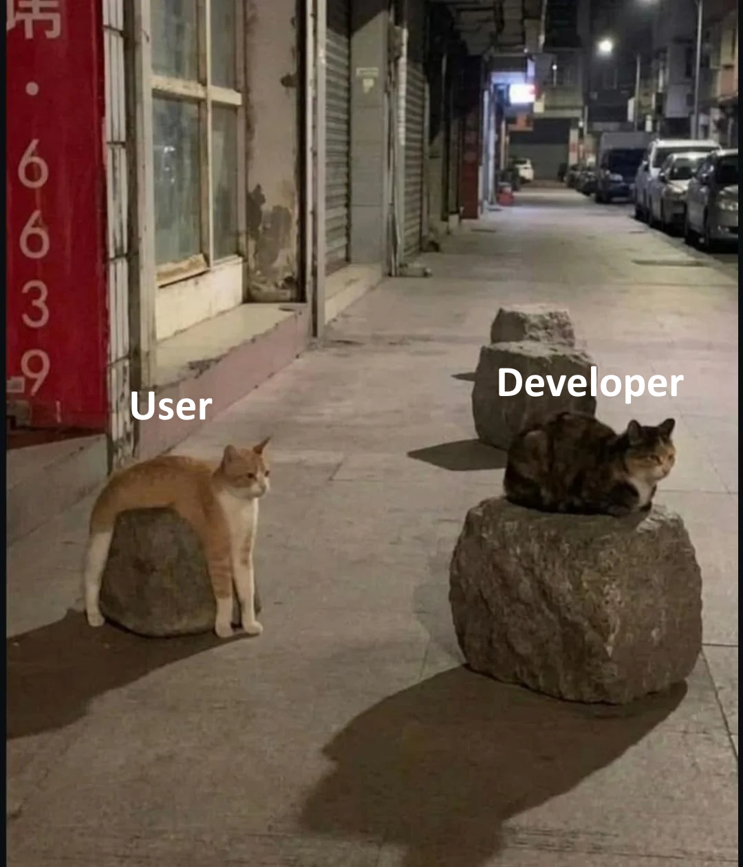 程序员 reaction:Developer