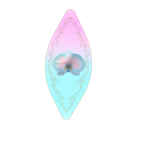 微信图片 20260823032538 197 164.png