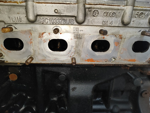IMG 20260820 110744.jpg