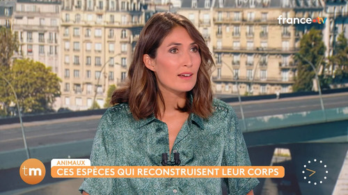 Télématin (France 2) 2026 08 23 05 40 00.ts snapshot 01.08.37.488