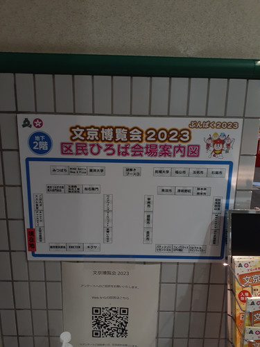 20231124 174905.jpg