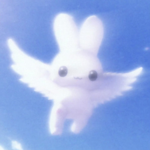 Screenshot.jpg