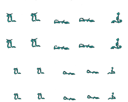 IMG 9900.png