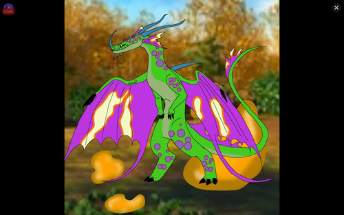 22224.jpg