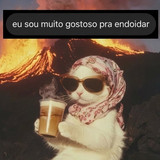@henrique226