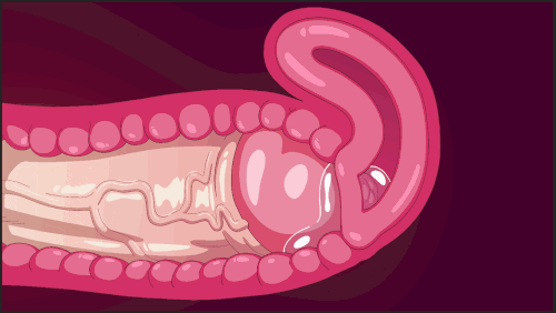 834c68a2e42df6bc0bc33df4d0a15e74.gif