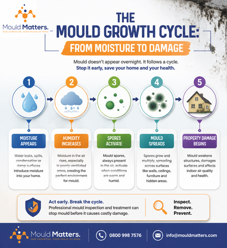 The Mould Growth Cycle: How Moisture Turns Into Serious Property Damage.png