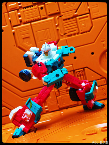 y19 (6)