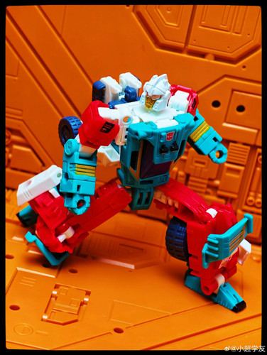 y19 (7)