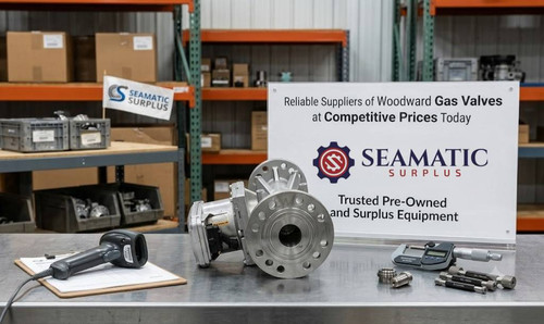 Reliable Suppliers of Woodward Gas Valves at Competitive Prices Today.jpg