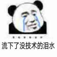 程序员反应图:流下了没技术的泪水