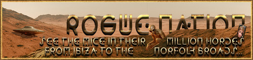 Marz Banner.jpg