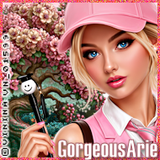 Gorgeous Arie CN avi.png