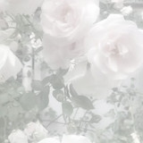 สวนดอกไม้