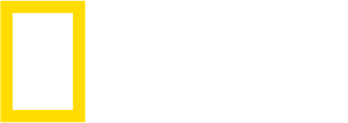 284 2843034 source national geographic logo white.png