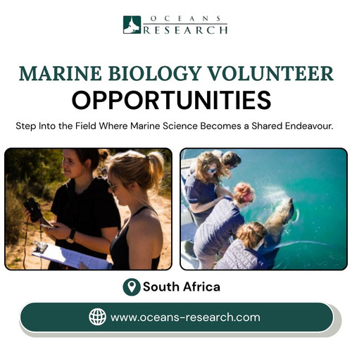 Marine Biology Volunteer Opportunities South Africa.jpg