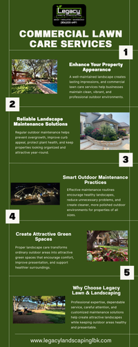 Expert Property Care with Commercial Lawn Care Services.png