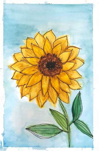 Watercolour of a sunflower