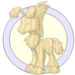 image removebg preview.png