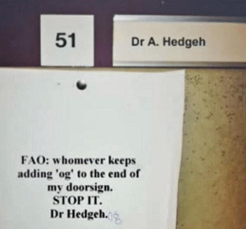 dr hedgehog