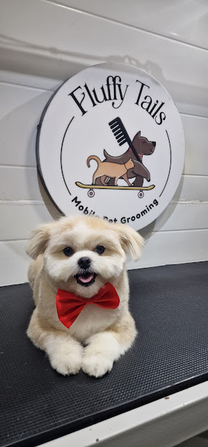 best mobile dog grooming qatar.jpg