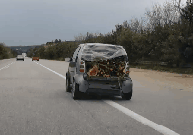 CttyBp9.gif