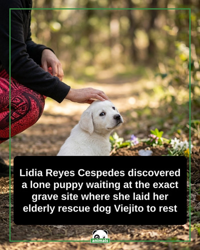 draft 311.jpg