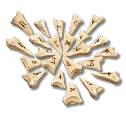 Projekt bez nazwy (28).png