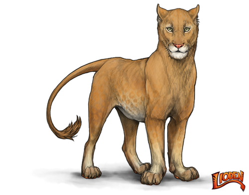 lioden wardrobe (1).png