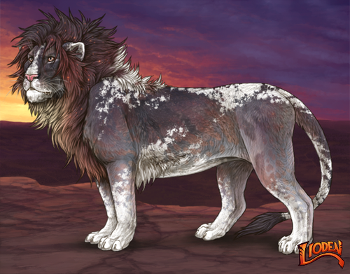 lion 262056.png