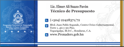 Tecnico de Presupuesto.png