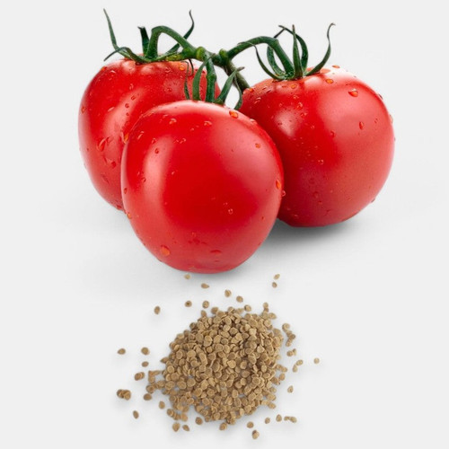 Tomato Seeds.jpg