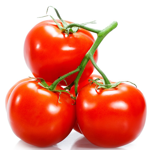 tomaotoes1 560x560.jpg