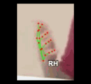 057cd1275d25.gif