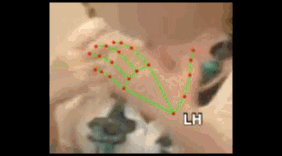 d397b6f65952.gif