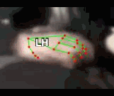 40d4d5a228fc.gif