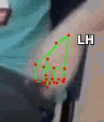 955732b1a73e.gif