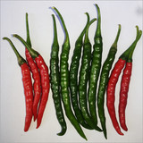 F1 Hybrid Shri 70 Chilli Seeds.jpg