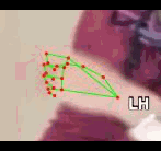 e9bb2db5b108.gif