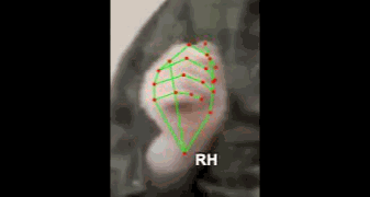 a637587f282d.gif