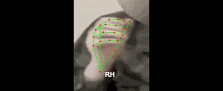 99f8a722cb33.gif